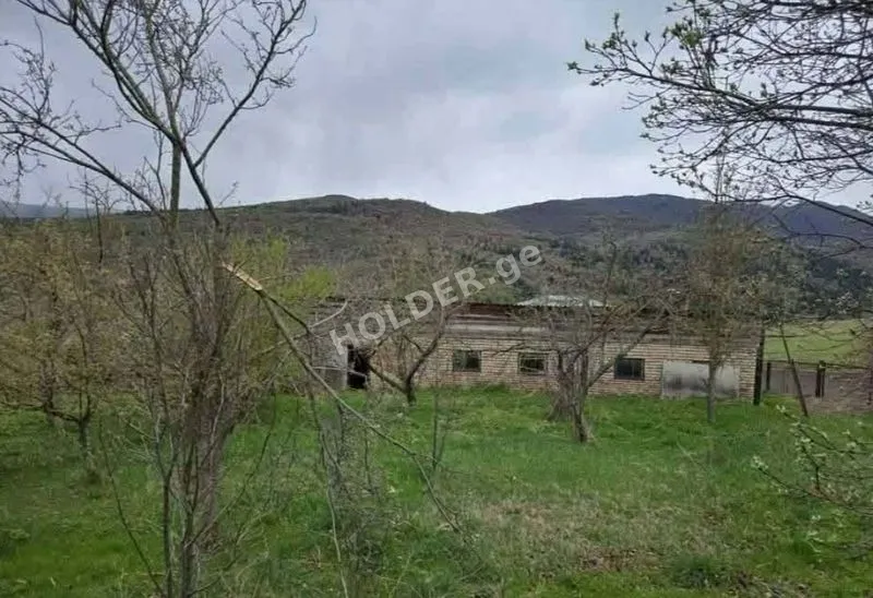 იყიდება მიწის ნაკვეთი მანგლისში (ფასი შეთანხმებით)