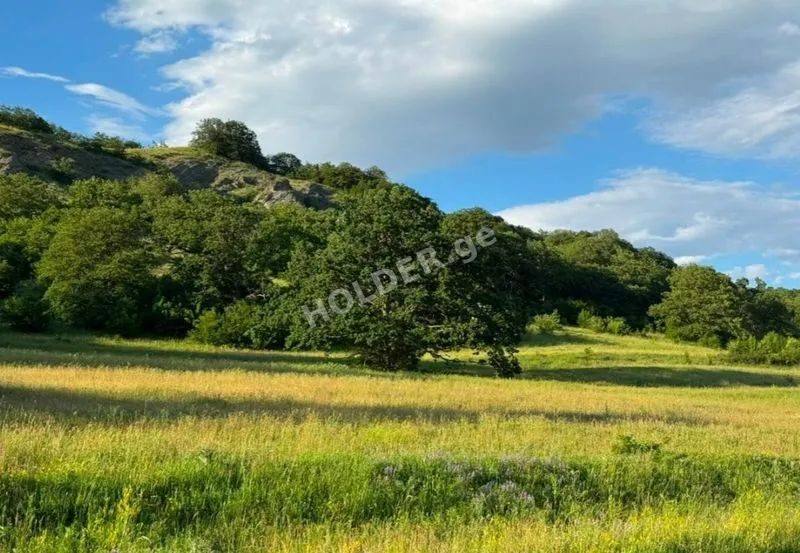 იყიდება მიწის ნაკვეთი მანგლისში