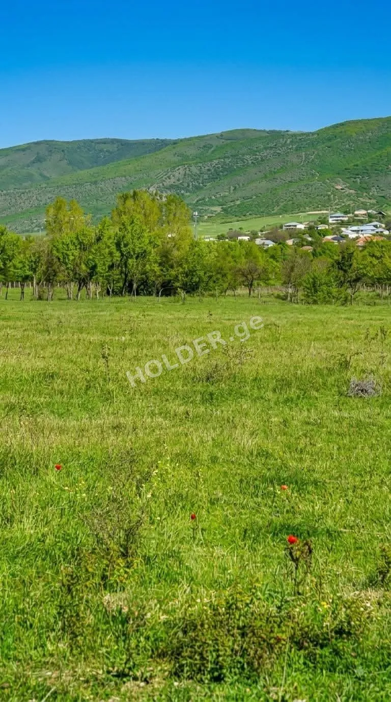 იყიდება 500 მ² მიწა თბილისთან ახლოს, წილკანში